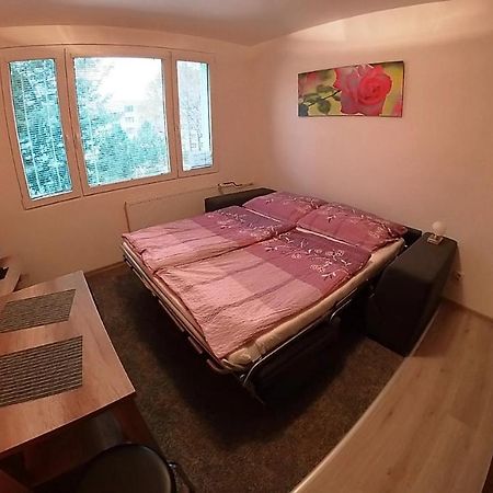 Garsonka Hlinik Apartman Třeboň Kültér fotó