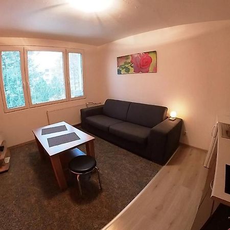 Garsonka Hlinik Apartman Třeboň Kültér fotó