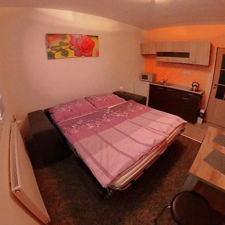 Garsonka Hlinik Apartman Třeboň Kültér fotó