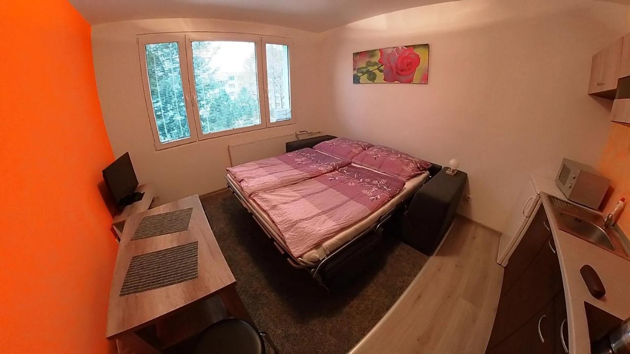 Garsonka Hlinik Apartman Třeboň Kültér fotó