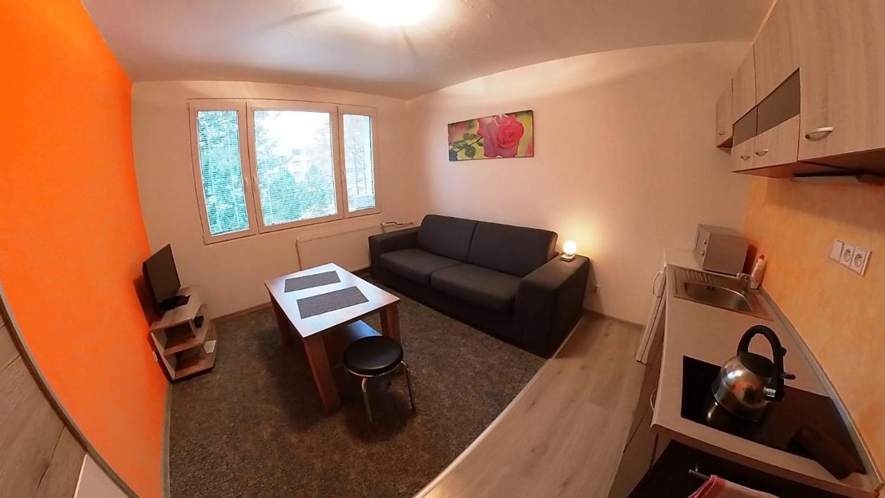 Garsonka Hlinik Apartman Třeboň Kültér fotó