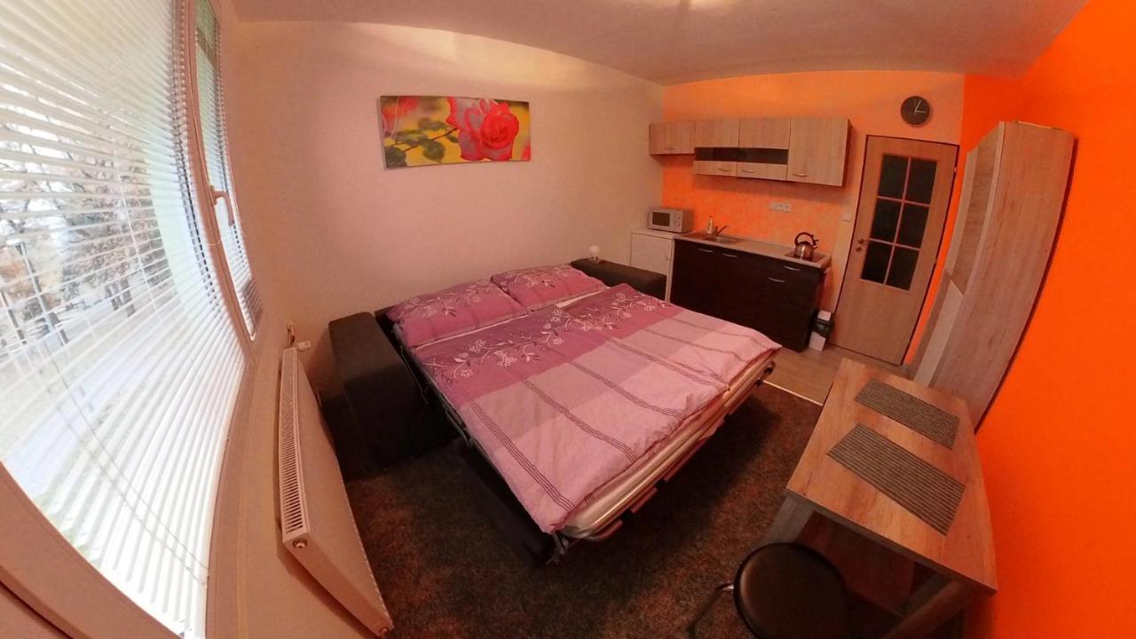 Garsonka Hlinik Apartman Třeboň Kültér fotó