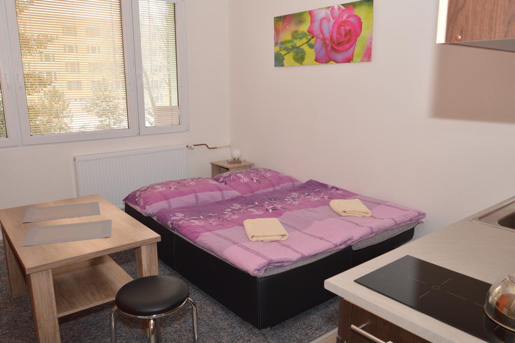 Garsonka Hlinik Apartman Třeboň Kültér fotó